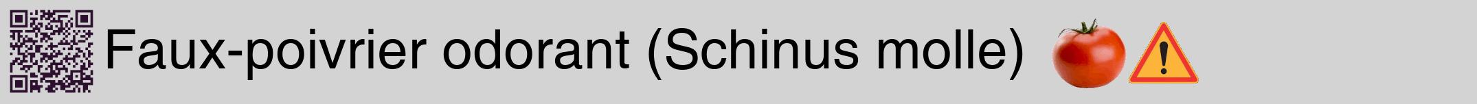Étiquette de : Schinus molle - format a - style noire56basiquehel avec qrcode et comestibilité simplifiée