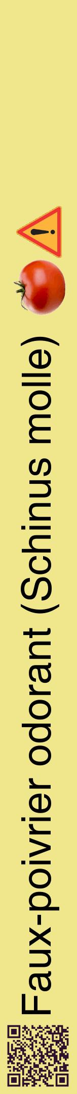 Étiquette de : Schinus molle - format a - style noire20hel avec qrcode et comestibilité simplifiée