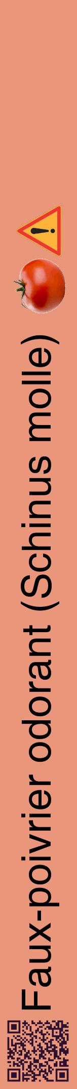 Étiquette de : Schinus molle - format a - style noire37hel avec qrcode et comestibilité simplifiée