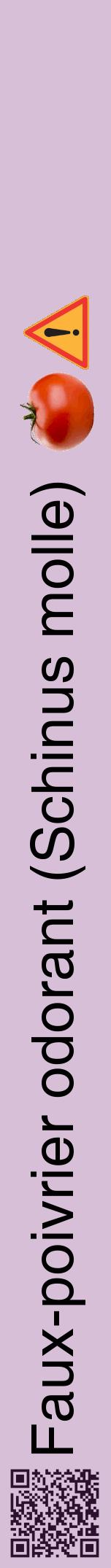 Étiquette de : Schinus molle - format a - style noire54hel avec qrcode et comestibilité simplifiée