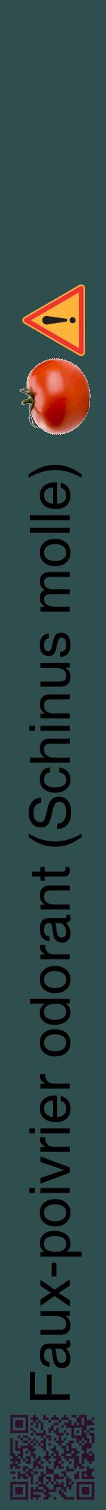 Étiquette de : Schinus molle - format a - style noire58hel avec qrcode et comestibilité simplifiée