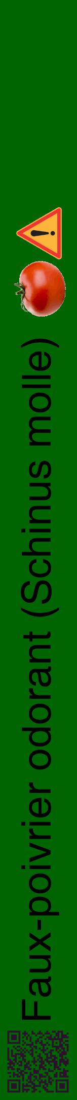 Étiquette de : Schinus molle - format a - style noire8hel avec qrcode et comestibilité simplifiée