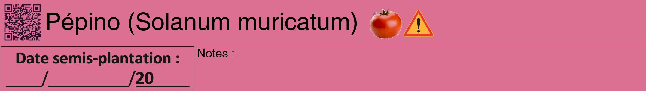 Étiquette de : Solanum muricatum - format a - style noire44hel avec qrcode et comestibilité simplifiée