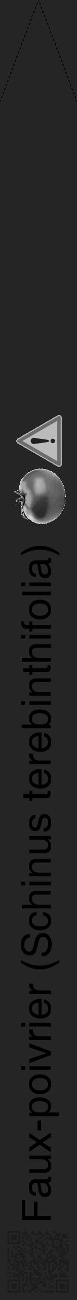Étiquette de : Schinus terebinthifolia - format b - style noire47hel avec qrcode et comestibilité simplifiée - position verticale