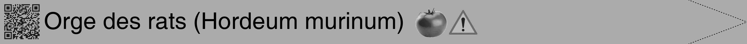 Étiquette de : Hordeum murinum - format b - style noire37simplehel avec qrcode et comestibilité simplifiée