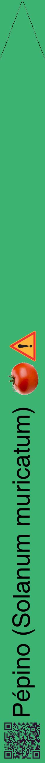 Étiquette de : Solanum muricatum - format b - style noire12hel avec qrcode et comestibilité simplifiée