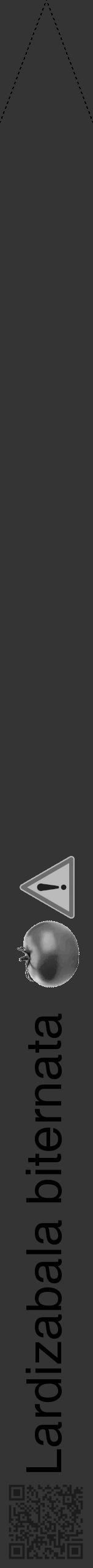 Étiquette de : Lardizabala biternata - format b - style noire46hel avec qrcode et comestibilité simplifiée - position verticale