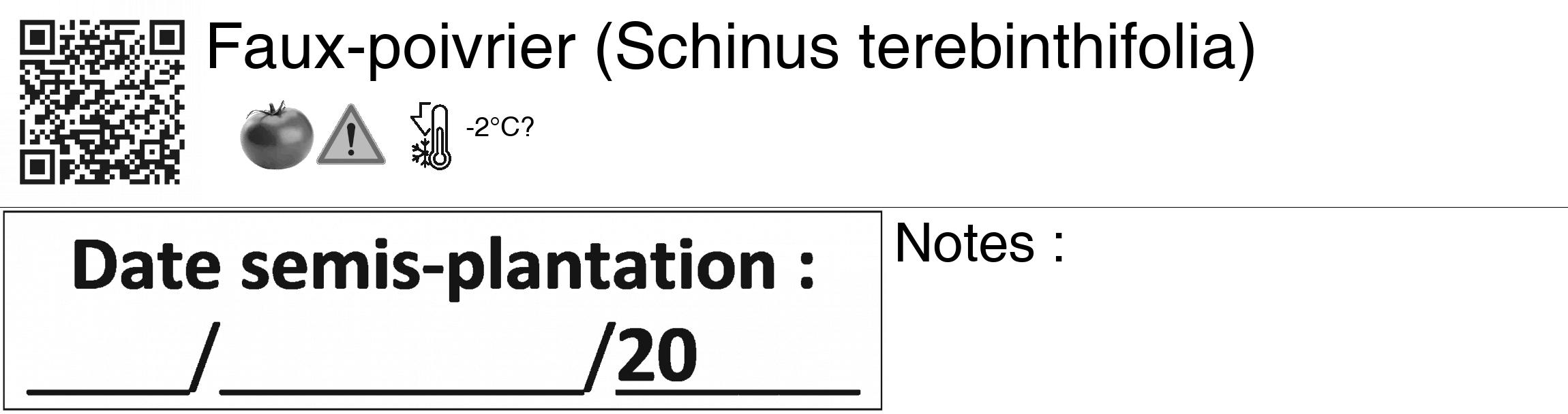 Étiquette de : Schinus terebinthifolia - format c - style noire60_basiquegrrvhel avec qrcode et comestibilité simplifiée