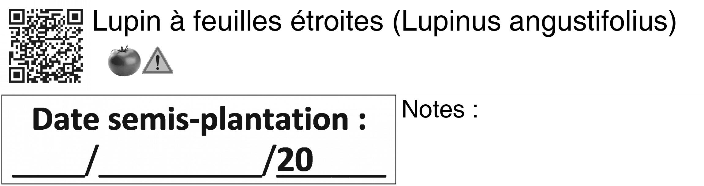 Étiquette de : Lupinus angustifolius - format c - style noire60_basiquegrrvhel avec qrcode et comestibilité simplifiée