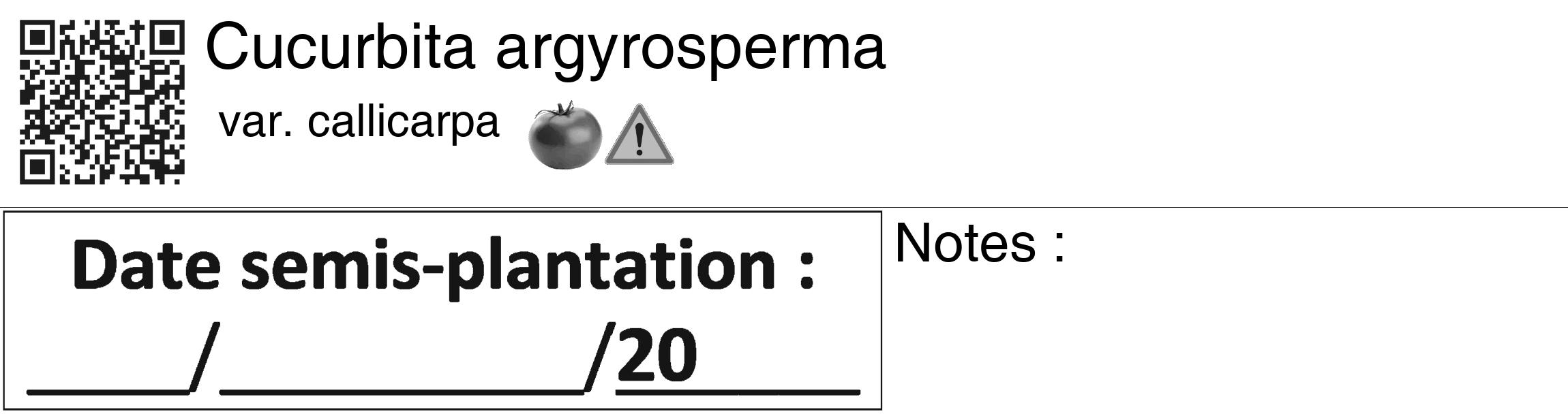 Étiquette de : Cucurbita argyrosperma var. callicarpa - format c - style noire60_basique_basiquehel avec qrcode et comestibilité simplifiée
