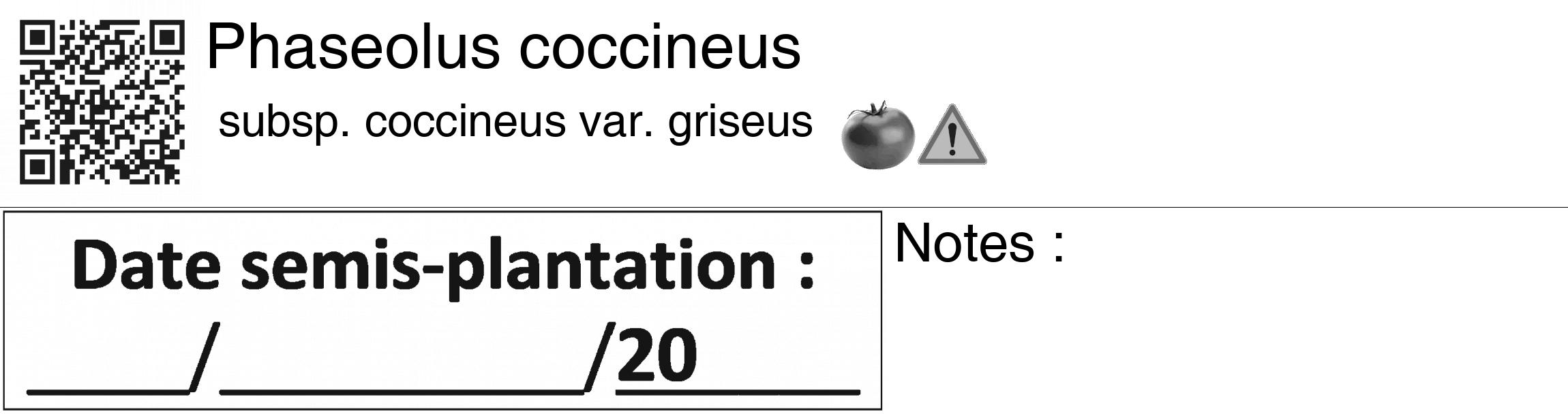 Étiquette de : Phaseolus coccineus subsp. coccineus var. griseus - format c - style noire60_basiquegrrvhel avec qrcode et comestibilité simplifiée