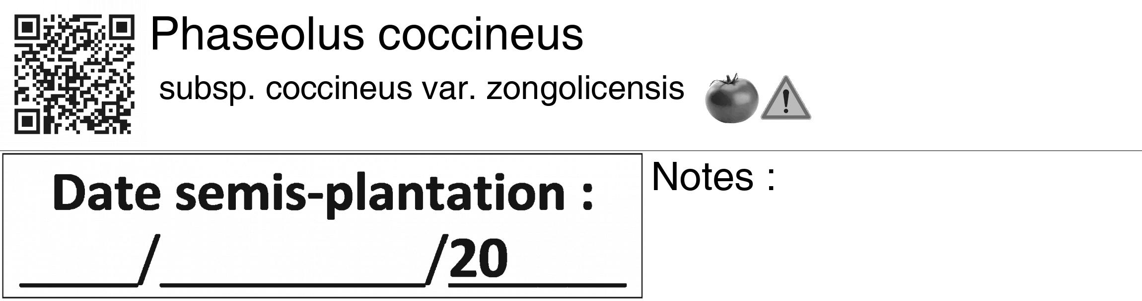 Étiquette de : Phaseolus coccineus subsp. coccineus var. zongolicensis - format c - style noire60_basiquegrrvhel avec qrcode et comestibilité simplifiée