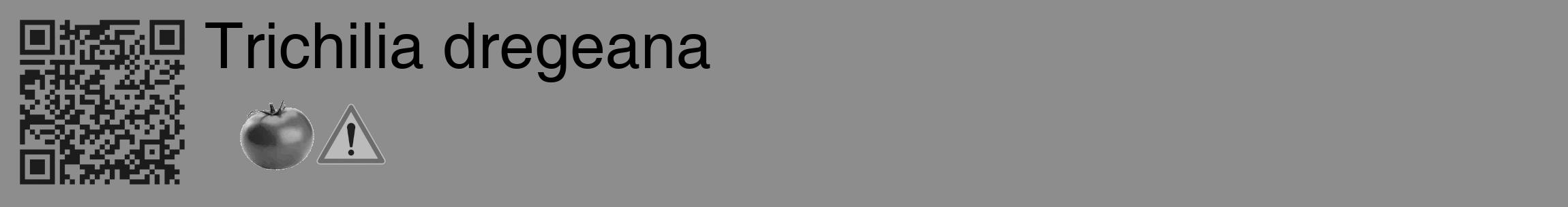 Étiquette de : Trichilia dregeana - format c - style noire2_basique_basiquehel avec qrcode et comestibilité simplifiée