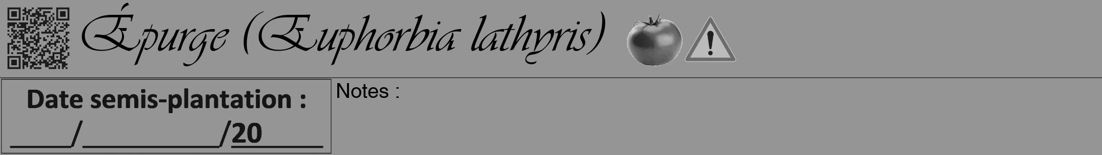 Étiquette de : Euphorbia lathyris - format a - style noire16viv avec qrcode et comestibilité simplifiée