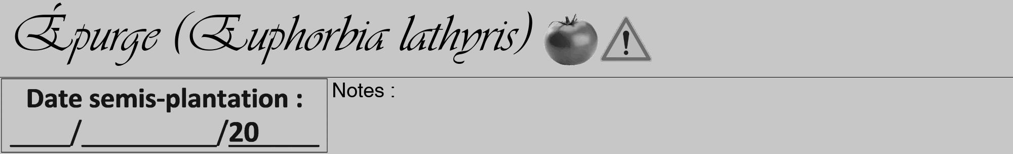 Étiquette de : Euphorbia lathyris - format a - style noire15viv avec comestibilité simplifiée