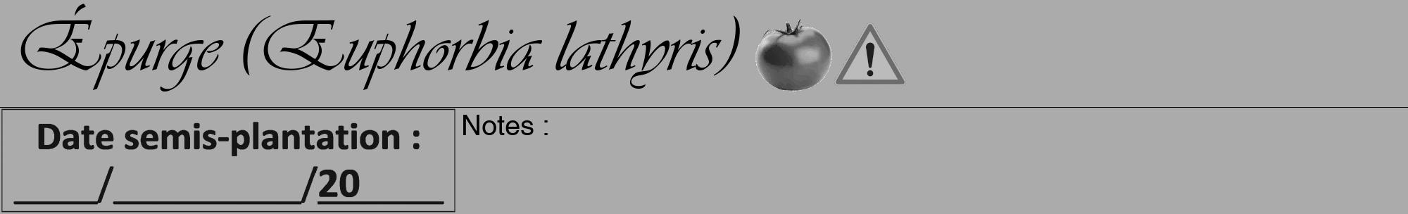 Étiquette de : Euphorbia lathyris - format a - style noire37viv avec comestibilité simplifiée