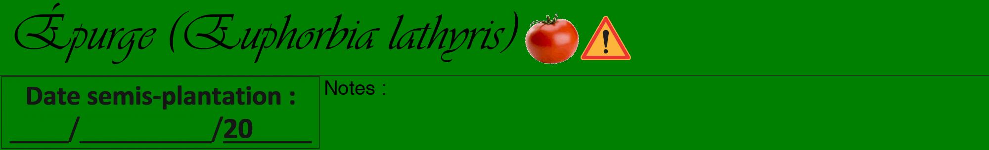 Étiquette de : Euphorbia lathyris - format a - style noire9viv avec comestibilité simplifiée