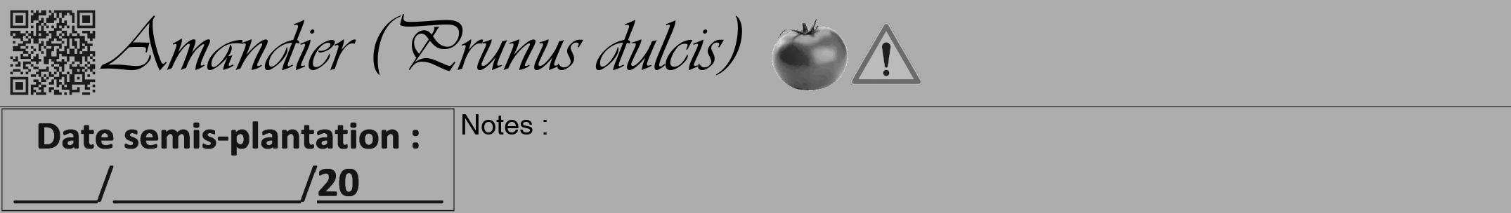 Étiquette de : Prunus dulcis - format a - style noire22viv avec qrcode et comestibilité simplifiée