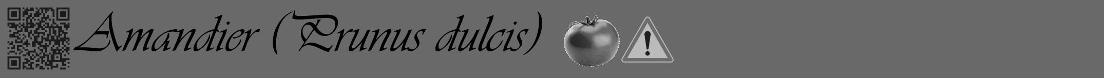 Étiquette de : Prunus dulcis - format a - style noire51basiqueviv avec qrcode et comestibilité simplifiée