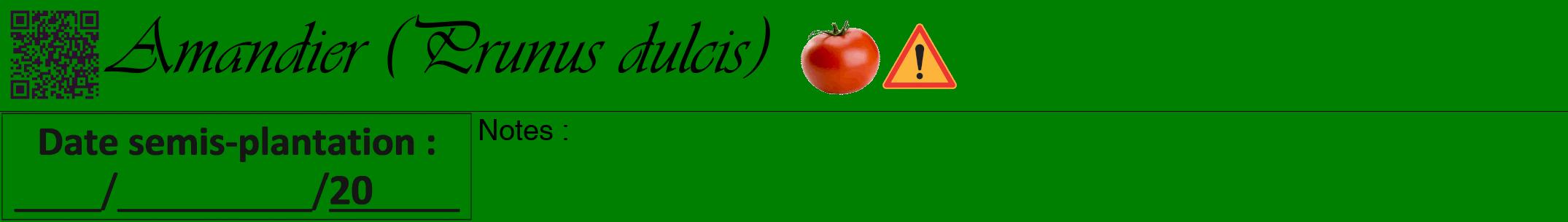 Étiquette de : Prunus dulcis - format a - style noire9simpleviv avec qrcode et comestibilité simplifiée