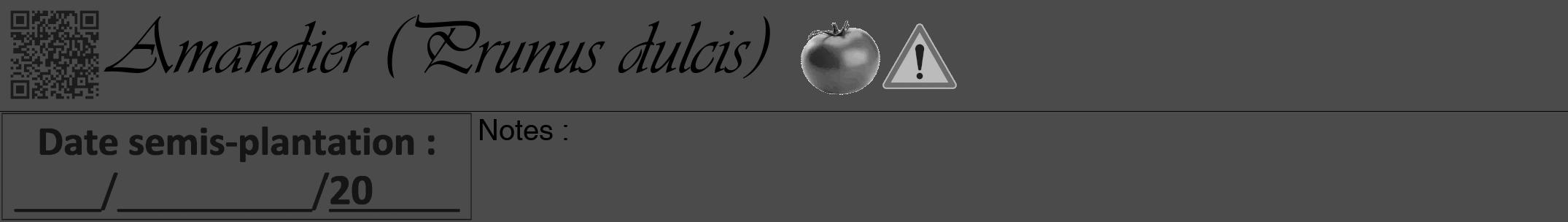 Étiquette de : Prunus dulcis - format a - style noire9simpleviv avec qrcode et comestibilité simplifiée