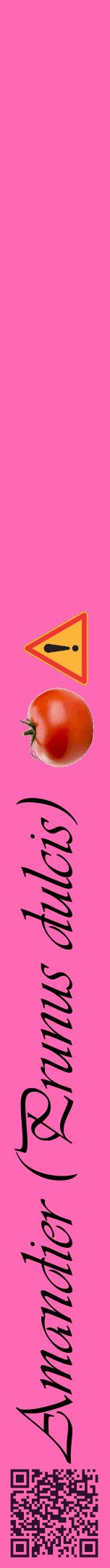 Étiquette de : Prunus dulcis - format a - style noire42viv avec qrcode et comestibilité simplifiée