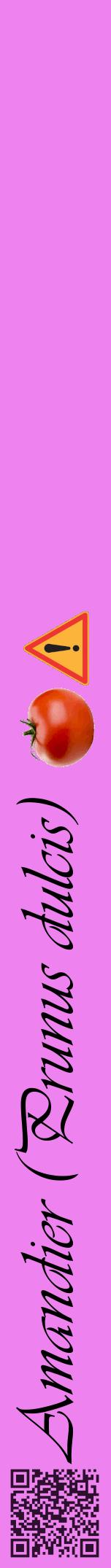 Étiquette de : Prunus dulcis - format a - style noire53viv avec qrcode et comestibilité simplifiée
