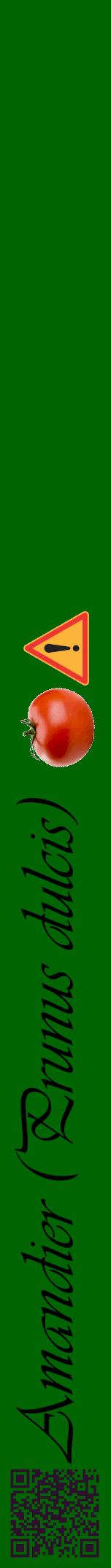 Étiquette de : Prunus dulcis - format a - style noire8viv avec qrcode et comestibilité simplifiée