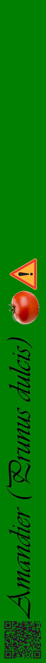 Étiquette de : Prunus dulcis - format a - style noire9viv avec qrcode et comestibilité simplifiée