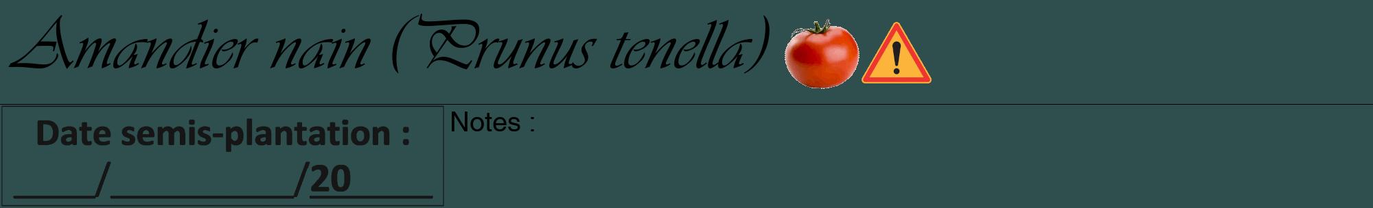 Étiquette de : Prunus tenella - format a - style noire58basiqueviv avec comestibilité simplifiée