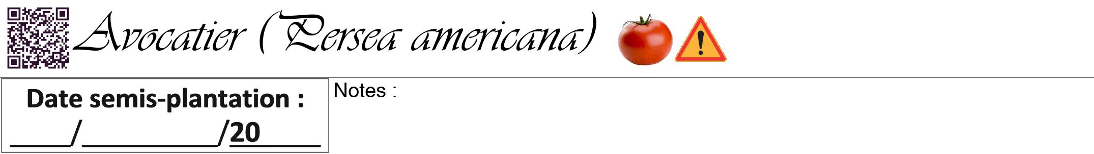 Étiquette de : Persea americana - format a - style noire60viv avec qrcode et comestibilité simplifiée