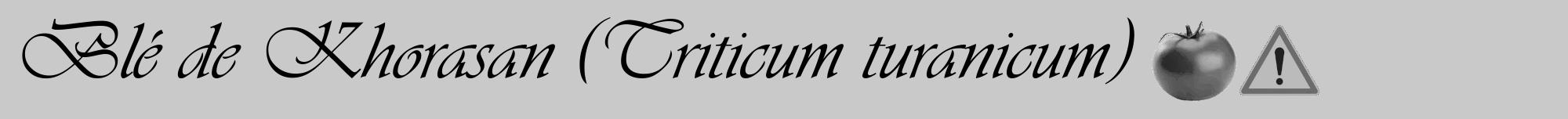 Étiquette de : Triticum turanicum - format a - style noire54viv avec comestibilité simplifiée