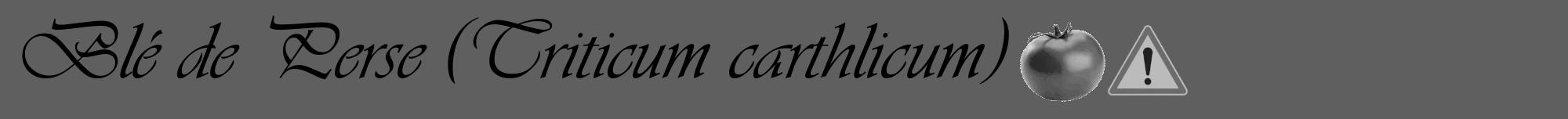 Étiquette de : Triticum carthlicum - format a - style noire10viv avec comestibilité simplifiée