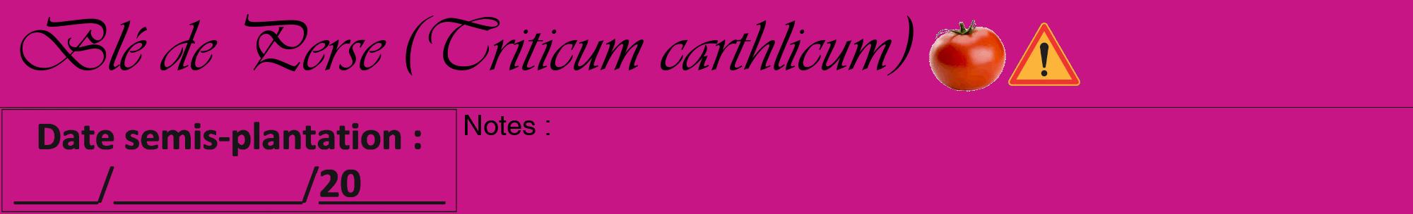 Étiquette de : Triticum carthlicum - format a - style noire45viv avec comestibilité simplifiée