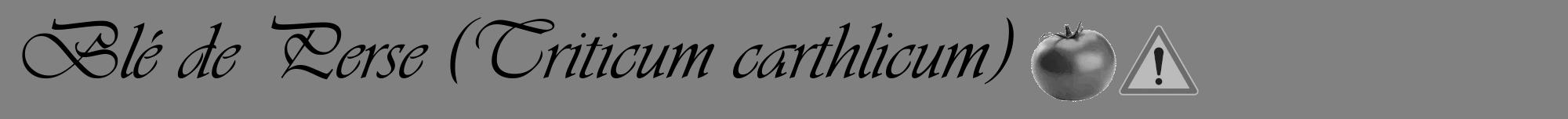 Étiquette de : Triticum carthlicum - format a - style noire50viv avec comestibilité simplifiée