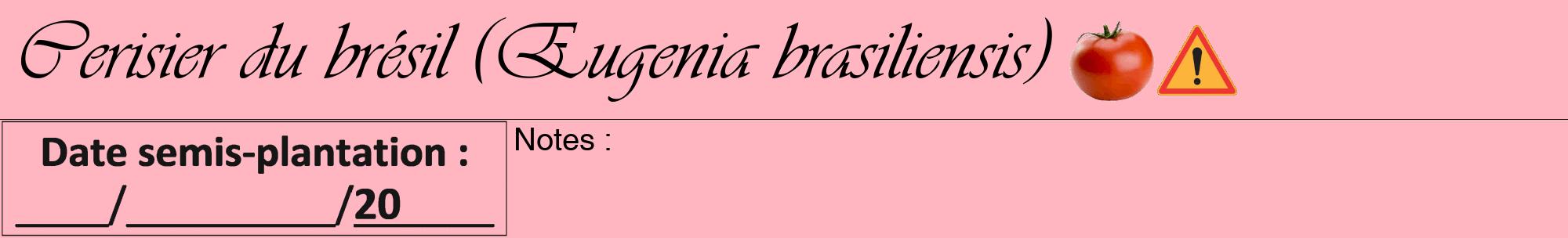 Étiquette de : Eugenia brasiliensis - format a - style noire41viv avec comestibilité simplifiée