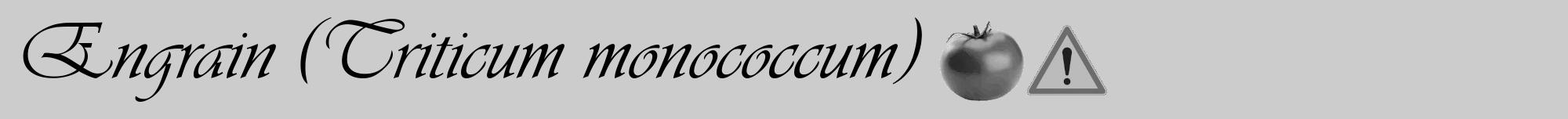 Étiquette de : Triticum monococcum - format a - style noire0viv avec comestibilité simplifiée