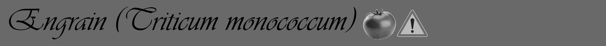 Étiquette de : Triticum monococcum - format a - style noire11viv avec comestibilité simplifiée