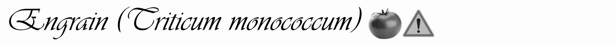 Étiquette de : Triticum monococcum - format a - style noire19viv avec comestibilité simplifiée