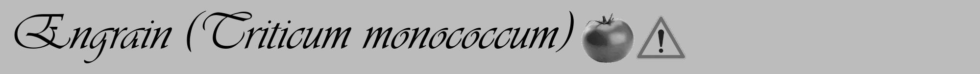 Étiquette de : Triticum monococcum - format a - style noire1viv avec comestibilité simplifiée