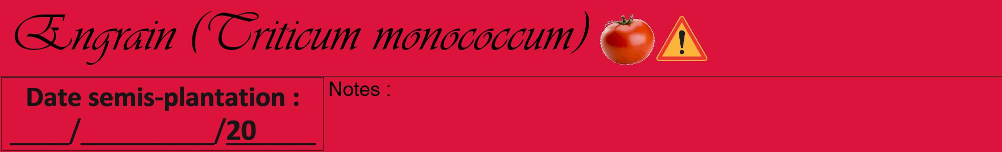 Étiquette de : Triticum monococcum - format a - style noire36viv avec comestibilité simplifiée