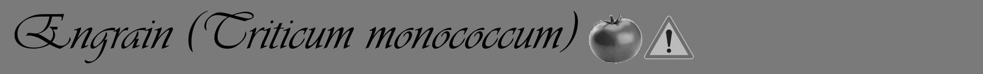 Étiquette de : Triticum monococcum - format a - style noire3viv avec comestibilité simplifiée