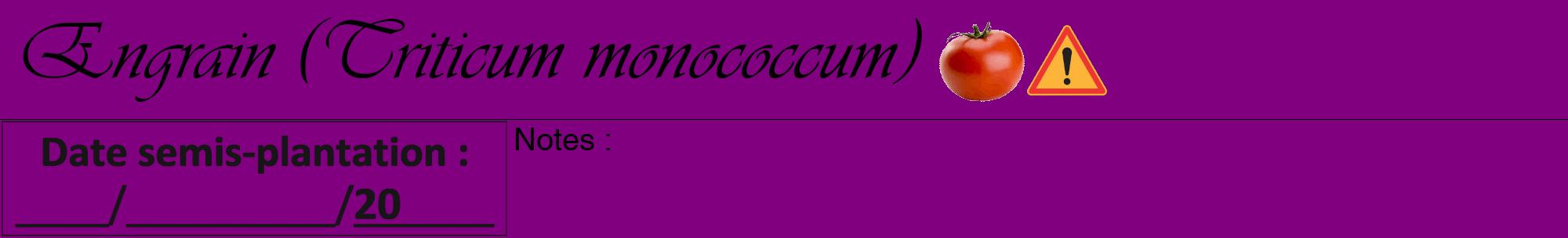Étiquette de : Triticum monococcum - format a - style noire46viv avec comestibilité simplifiée