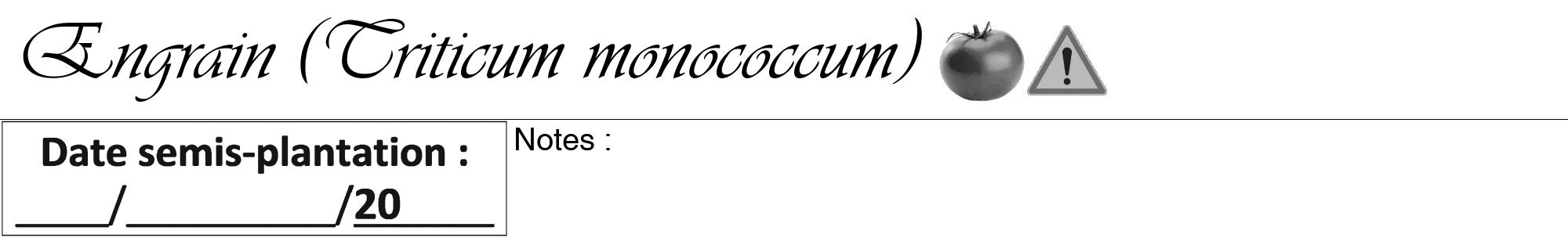 Étiquette de : Triticum monococcum - format a - style noire60viv avec comestibilité simplifiée