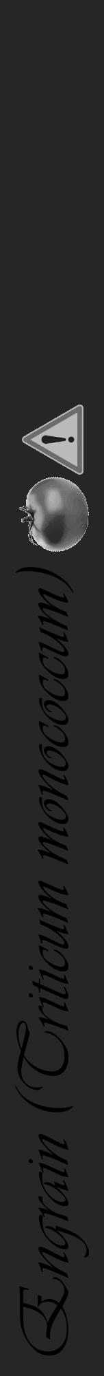 Étiquette de : Triticum monococcum - format a - style noire29viv avec comestibilité simplifiée - position verticale