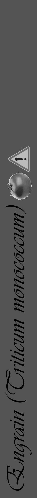 Étiquette de : Triticum monococcum - format a - style noire36viv avec comestibilité simplifiée - position verticale