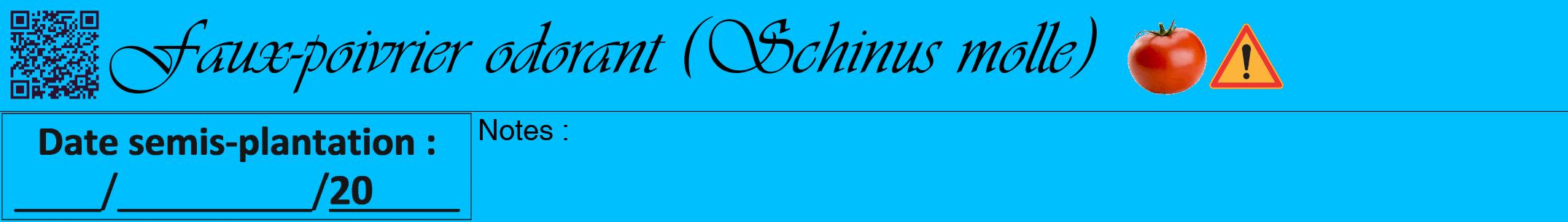 Étiquette de : Schinus molle - format a - style noire2viv avec qrcode et comestibilité simplifiée