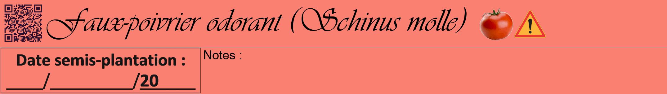 Étiquette de : Schinus molle - format a - style noire38viv avec qrcode et comestibilité simplifiée