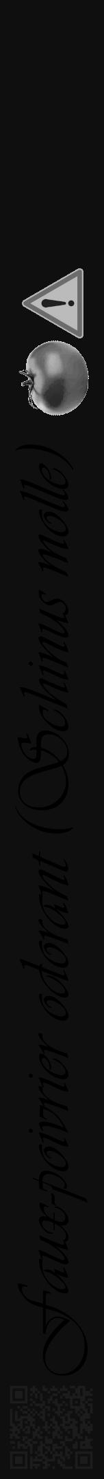 Étiquette de : Schinus molle - format a - style noire7viv avec qrcode et comestibilité simplifiée - position verticale
