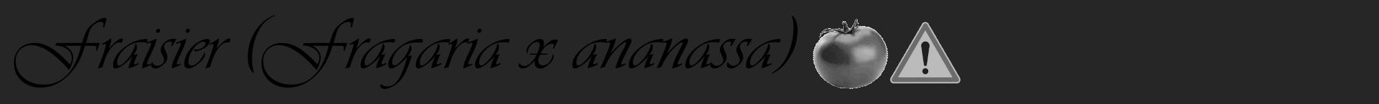 Étiquette de : Fragaria x ananassa - format a - style noire29viv avec comestibilité simplifiée